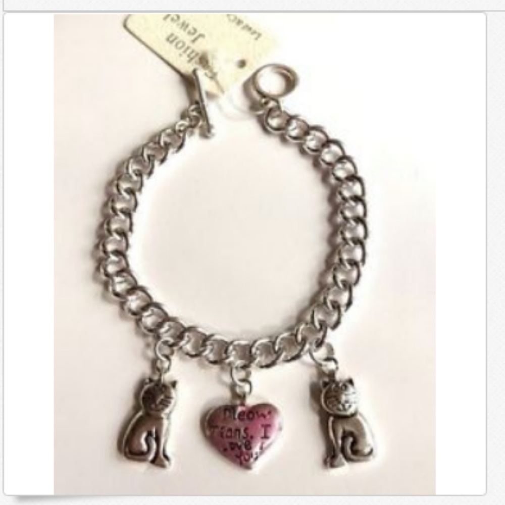 Silver Cat Lady Charm Bracelet MEOW Means LOVE Kitty Plated Heart
